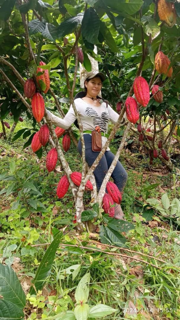 Cocoa Gallery Image